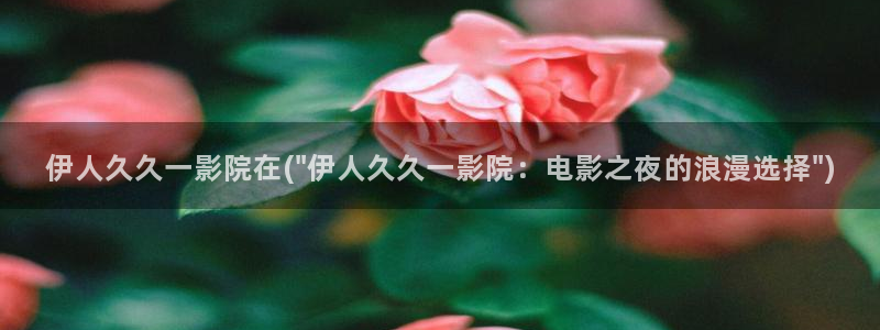 伊人香蕉网视频综在合线