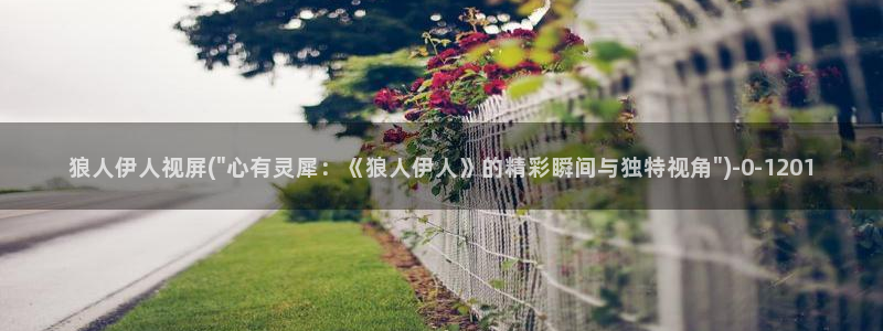 日本伊人久久网影院