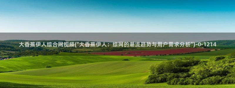 高清视屏久久伊人