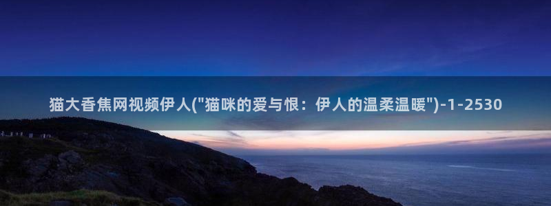 9伊人电影网视频