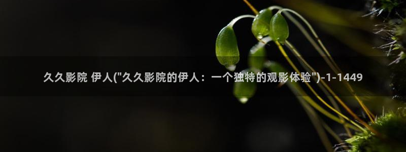 伊人久久999影院：久久影院 伊人(\