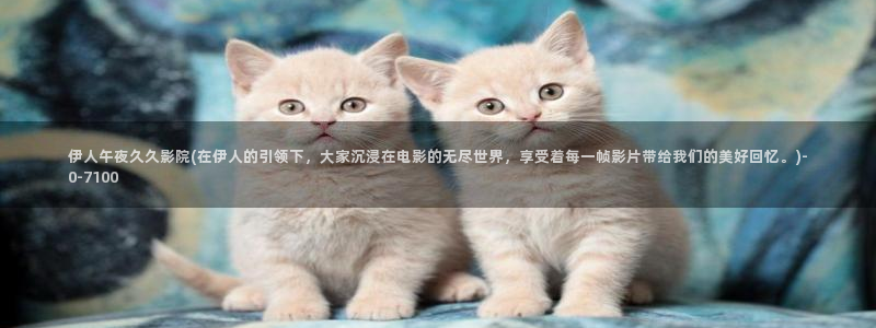 伊人情侣网视频222