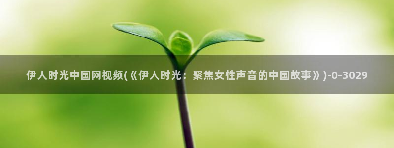 伊人 综合网视频看不了