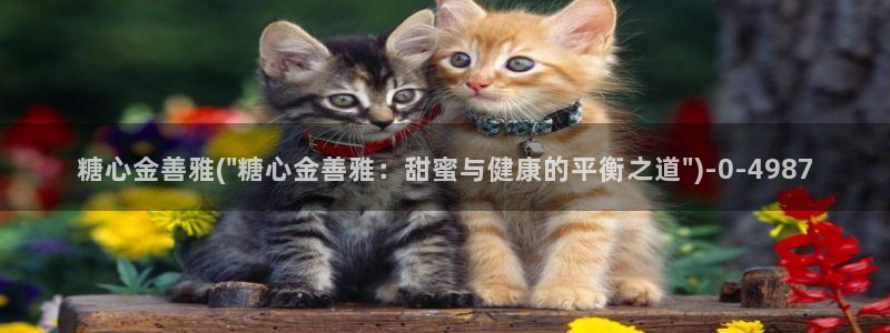 桥本香菜糖心vlog销售的秘诀：糖心金善雅(\