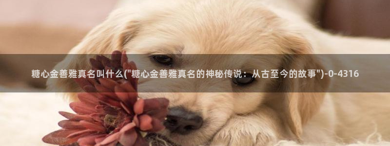 糖心v logo：糖心金善雅真名叫什么(\