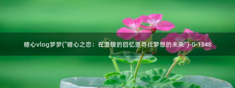 糖心vlog谁最好看：糖心vlog梦梦(\
