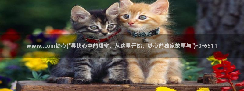 糖心vlog破解免费苹果：www..com糖心(