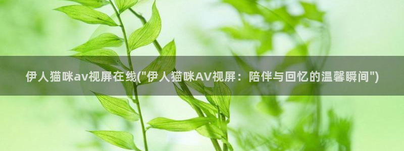 伊人醉全网视频：伊人猫咪av视屏在线(\