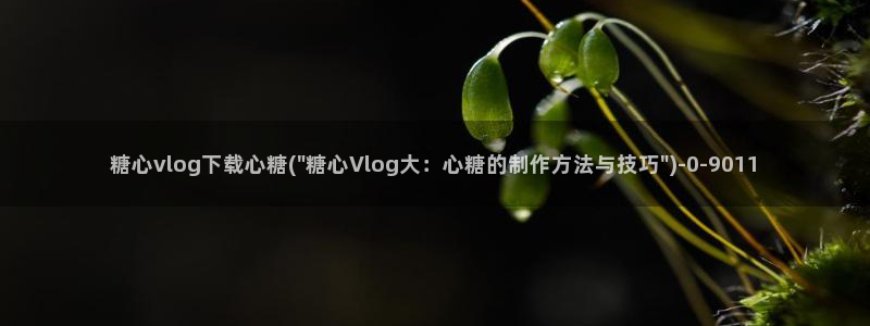 糖心vlog黄：糖心vlog下载心糖(\