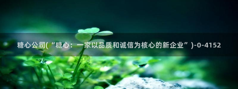 糖心vlog片：糖心公司(“糖心：一家以品质和诚信为核心的新企业”)
